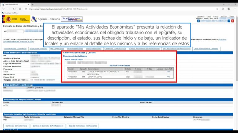 Servicios de Asesor&iacute;a Fiscal en Pals: Gu&iacute;a Completa