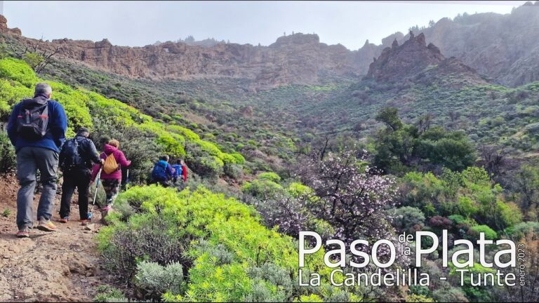 Deporte en los Parques de Castellfollit de la Roca: Mejores Opciones