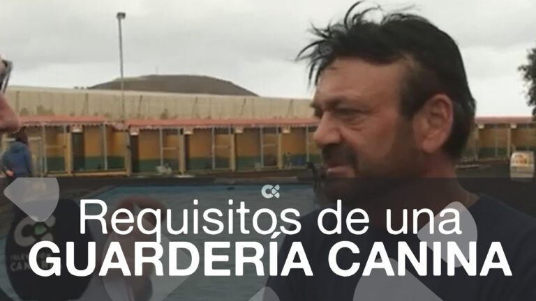 Normativas para Tener un Perro en Girona